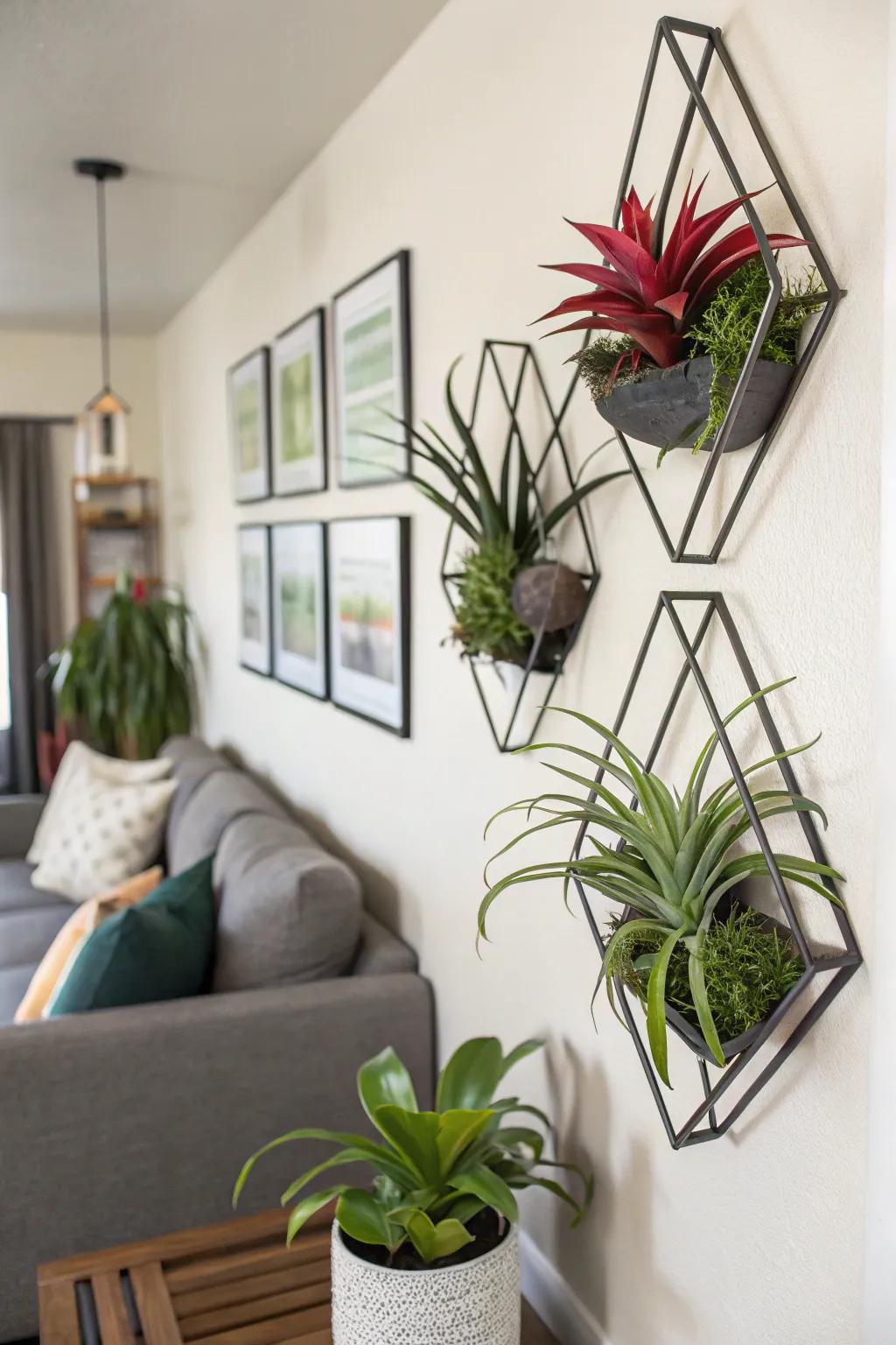 Geometric forms infuse a contemporary vibe into air plant displays.