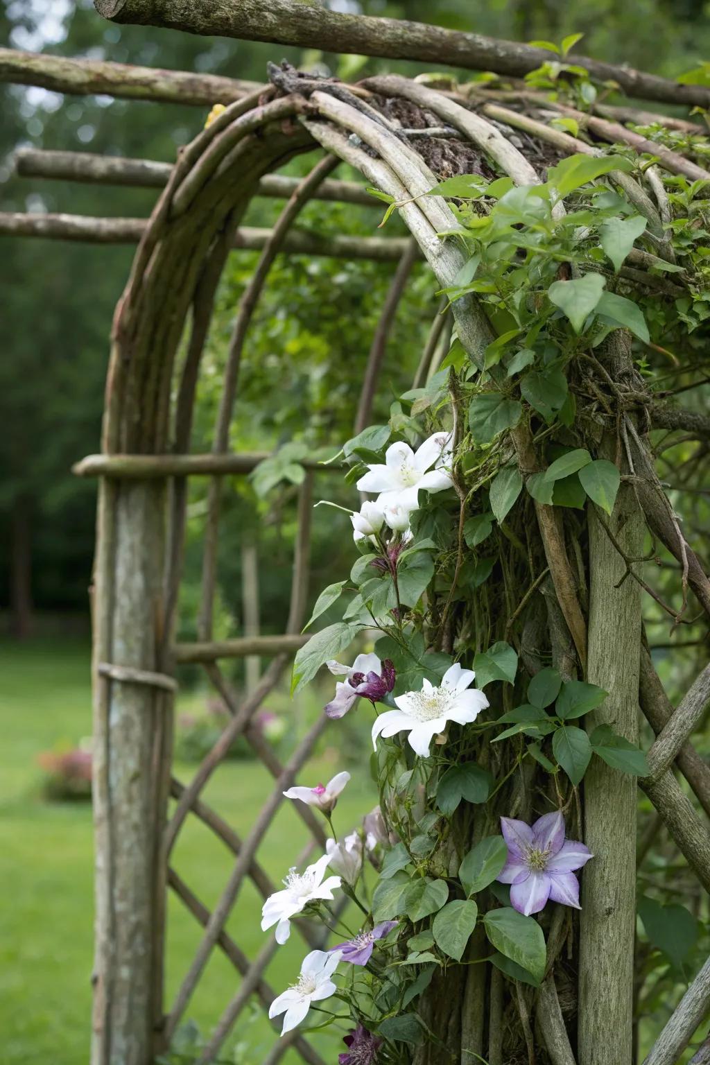 A rustic trellis made from natural limbs imparts an organic feel, ideal for clematis tendrils to climb.