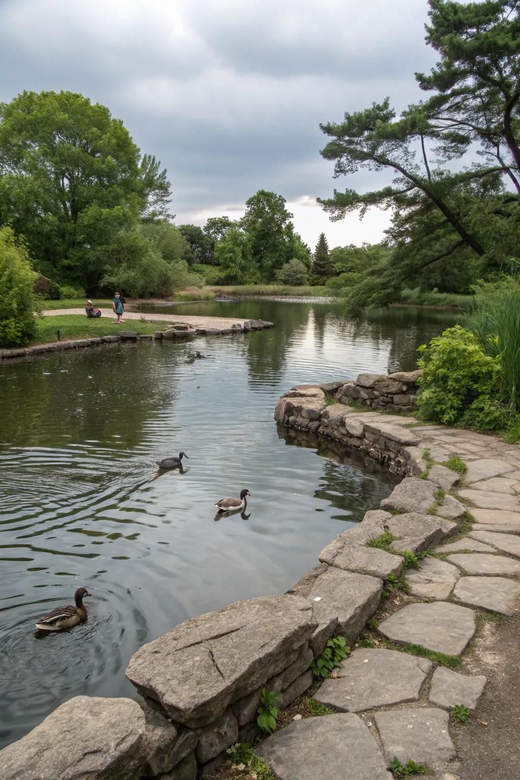 The rustic beauty of natural stone framing a duck pond.