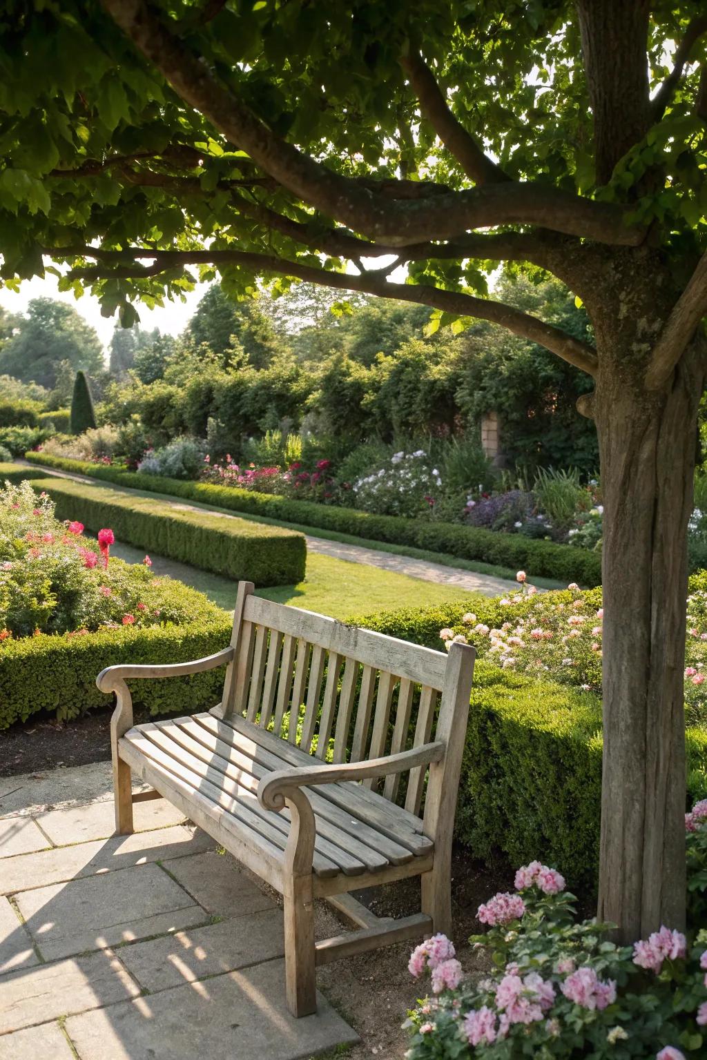 A classic wood bench displays its natural grain in a serene garden setting.