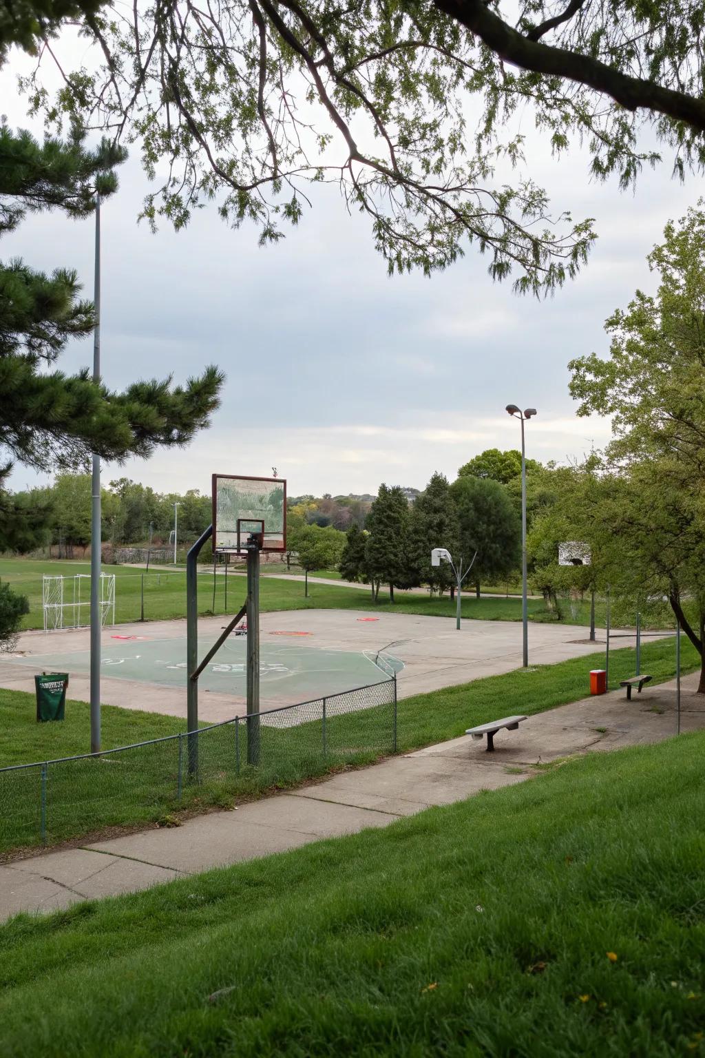 An engaging sports zone for enjoyment and fitness in the backyard.