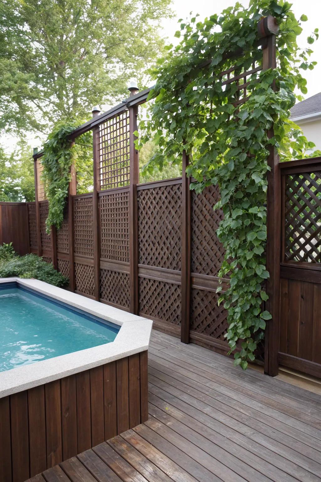 Enhance your poolside escape with a chic privacy lattice, where artistry meets nature.