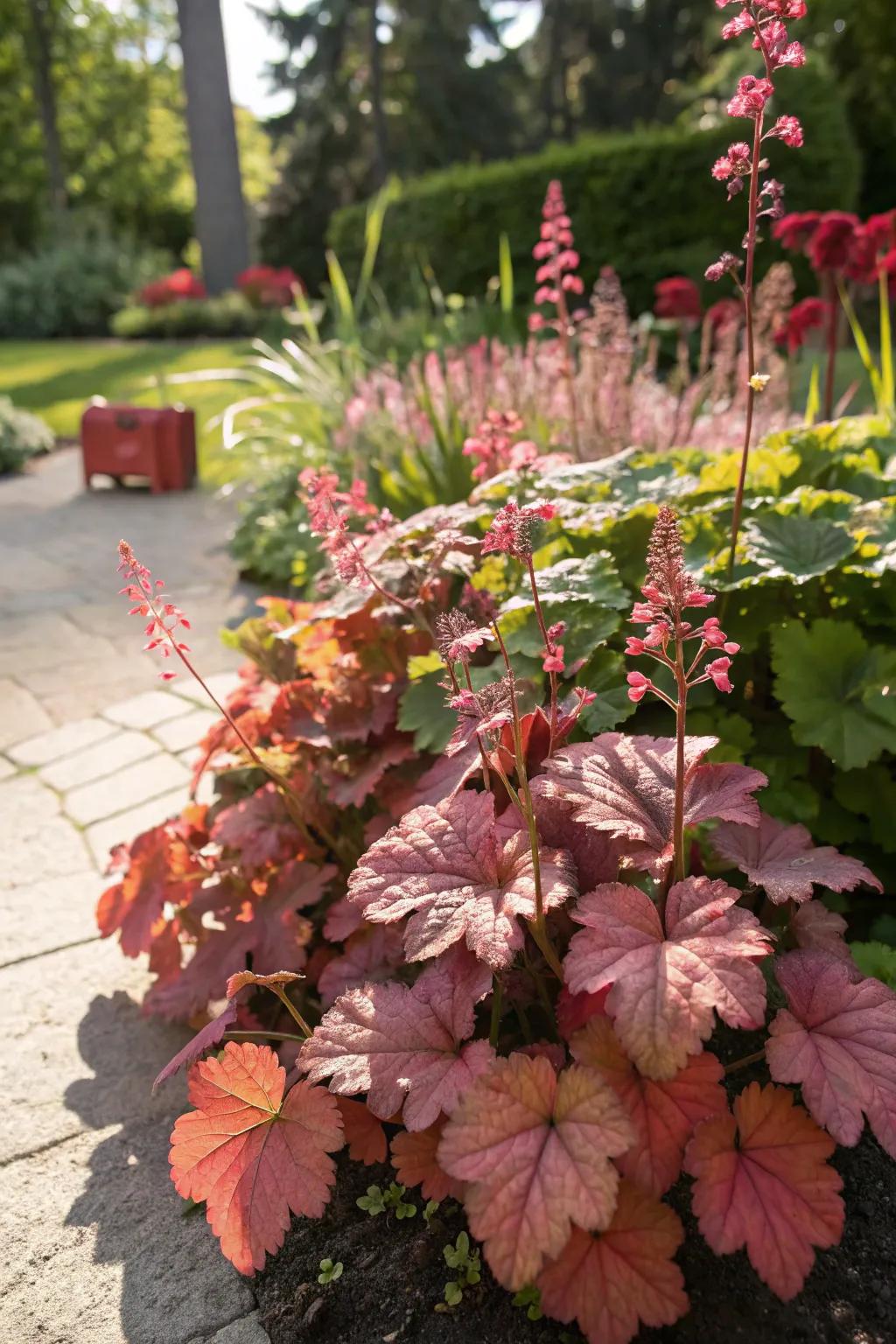 <strong><em>Kaleidoscope bells</em></strong> flourishing in a sunny location, displaying remarkable resilience.” loading=”lazy” class=”pimg”>
	</picture><figcaption><strong><em>Kaleidoscope bells</em></strong> flourishing in a sunny location, displaying remarkable resilience.</figcaption></figure>
<p>Remarkably, <strong><em>kaleidoscope bells</em></strong> can also thrive in sunny locales! Just ensure they are shaded during the hottest part of the afternoon for the best color vibrancy.</p>
<h3>Possibly handy products:</h3>
<ul class=