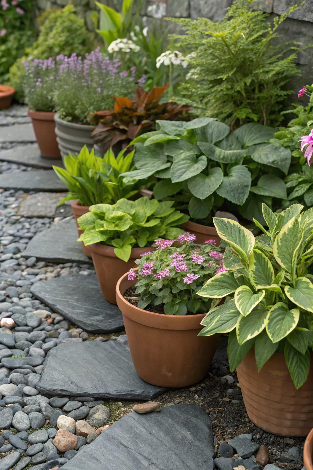 Fashion a chic container garden with stone fragments as a base.