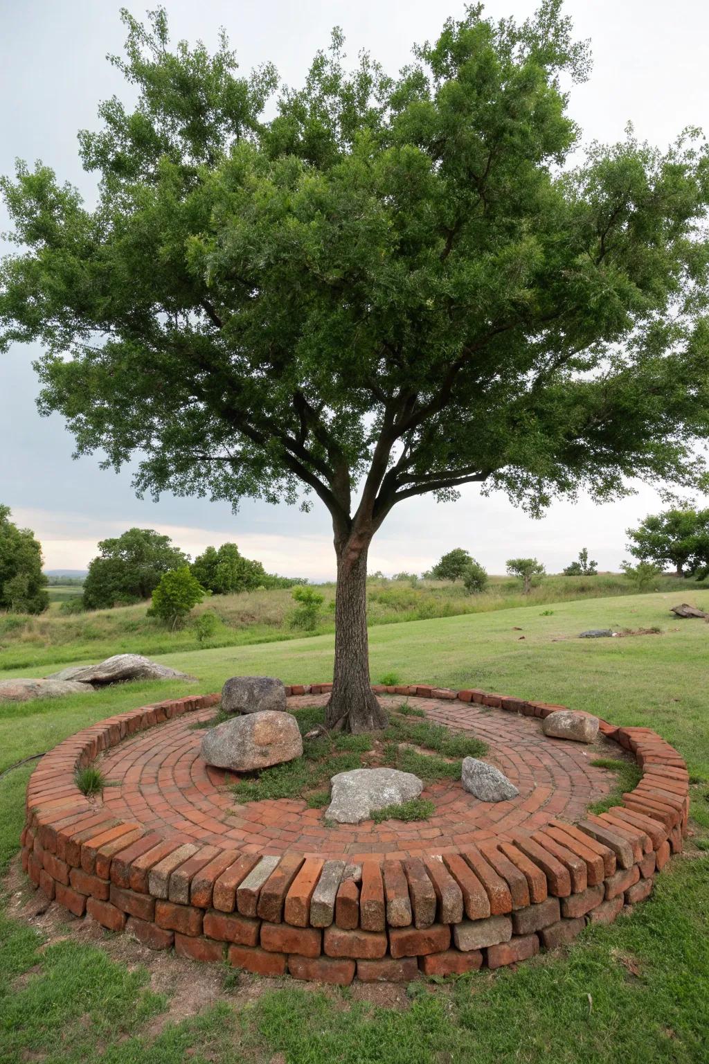 Tree rings offer a refined appearance and protection.