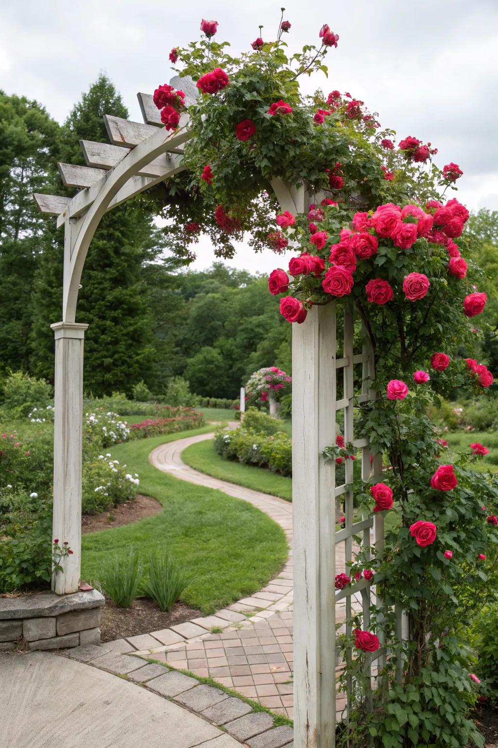 With a radiant rose archway, you can create an enchanting entrance.