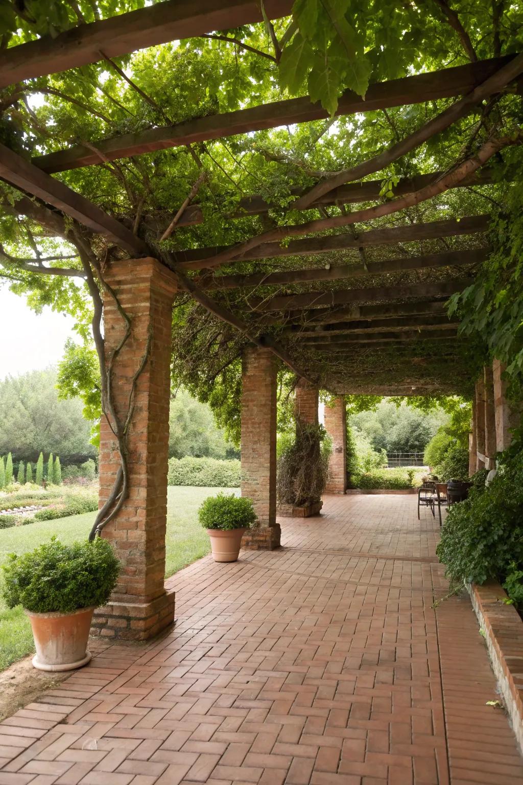 A pergola with vines creates a natural canopy over the patio