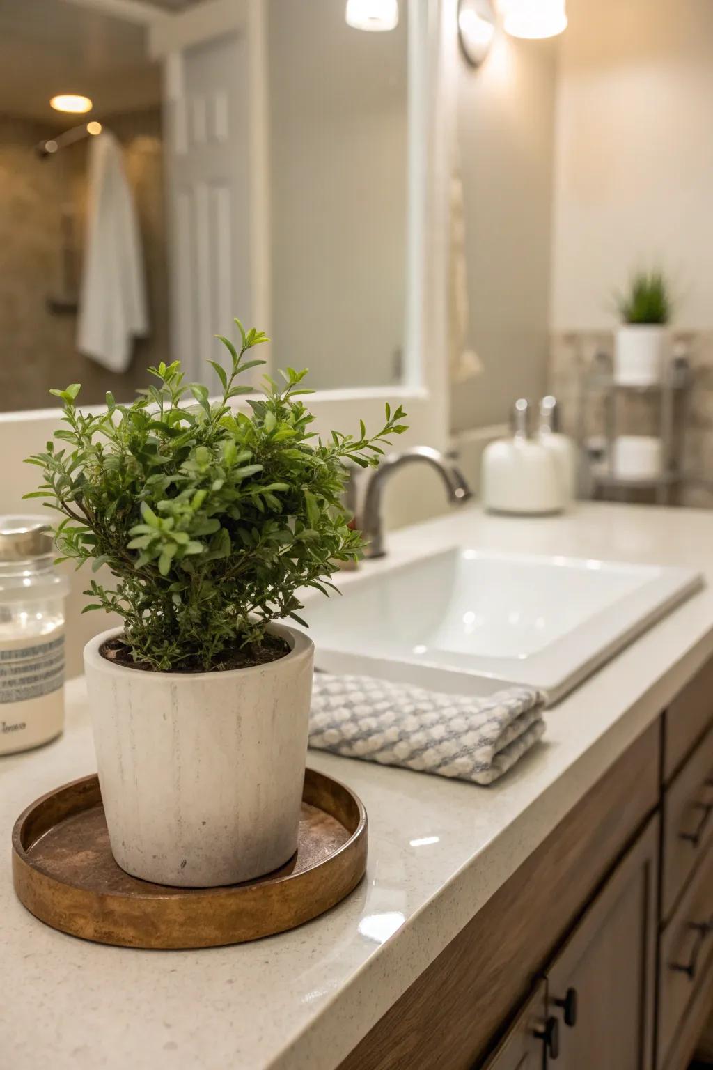 Transform your bathroom with greenery.