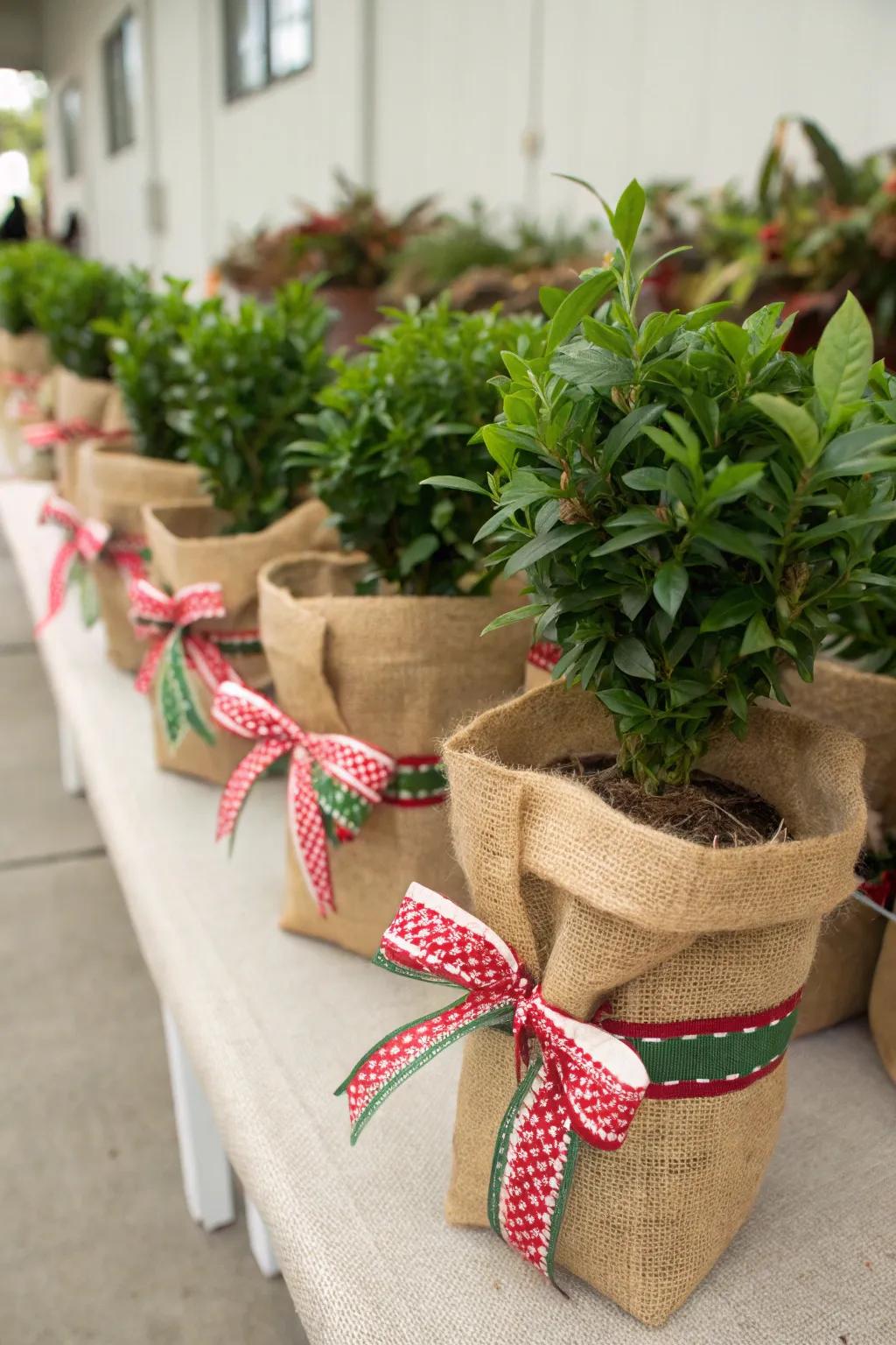 Burlap extends a charming, rustic touch to your exhibits.