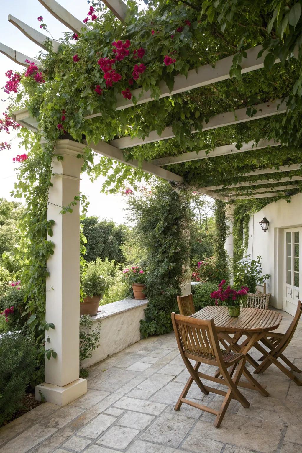 A trellis enhances privacy and adds a hint of nature.