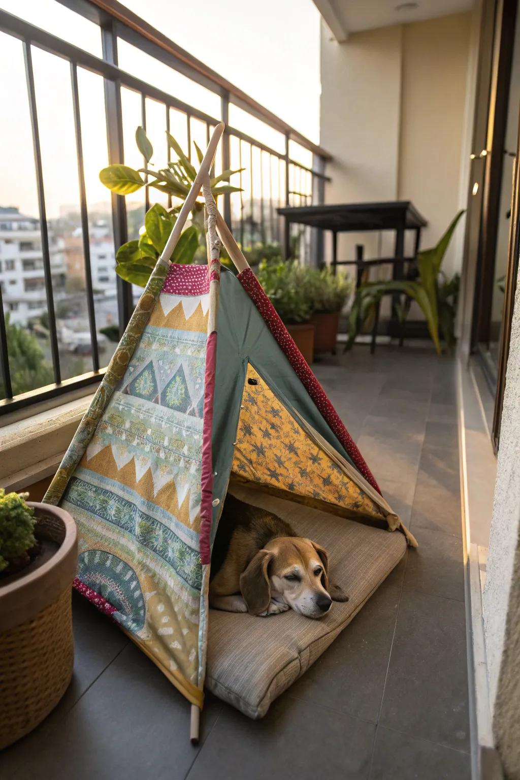 A DIY dog tent provides a cozy retreat for dogs.