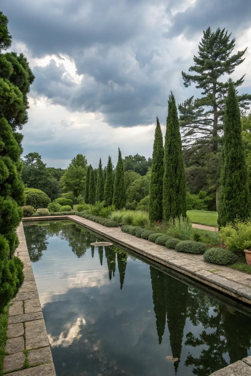 Enhance water features with Skyline Sentinel for a serene garden.