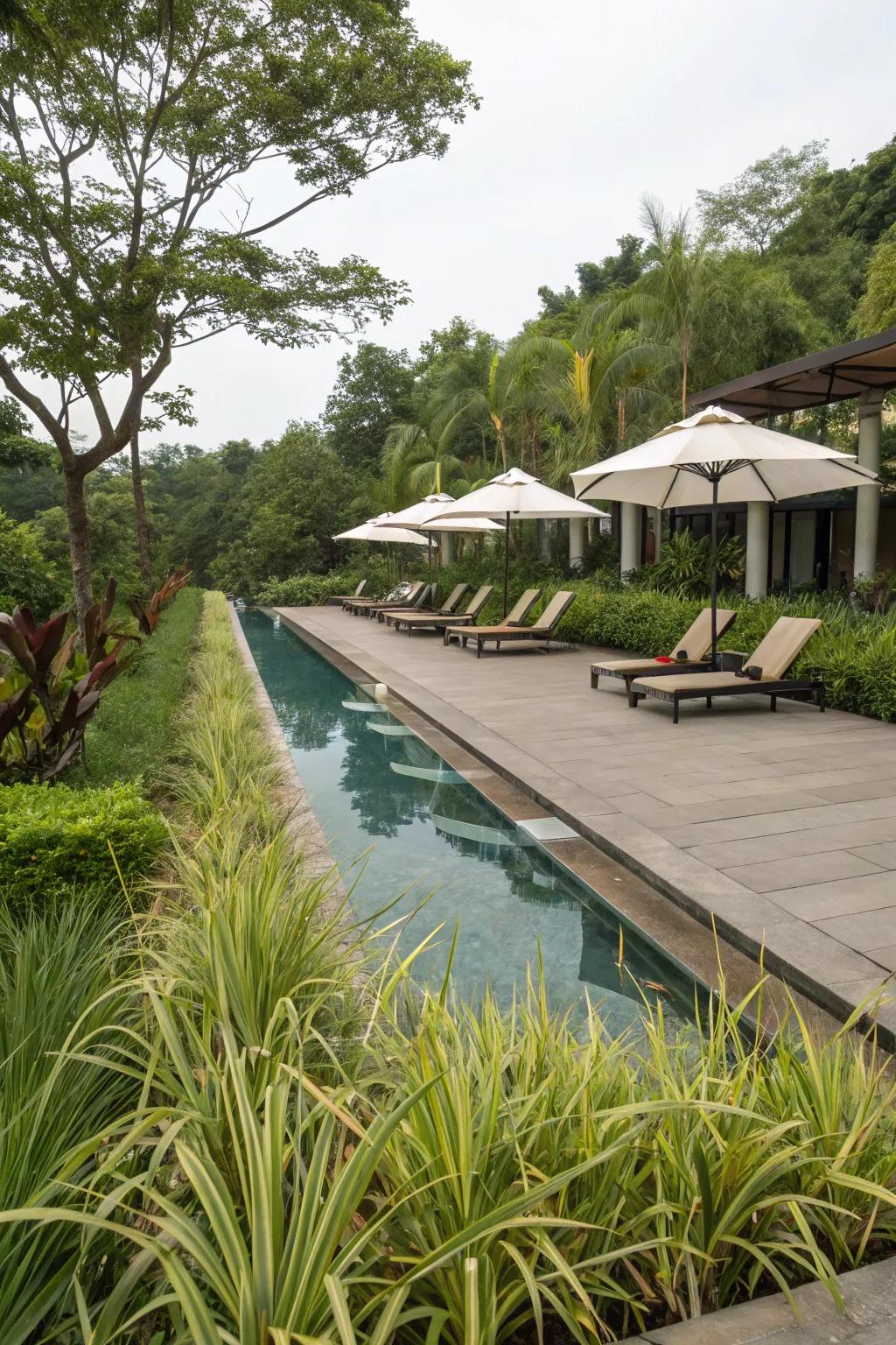 A poolside escape framed by the rich beauty of ribbon grass.