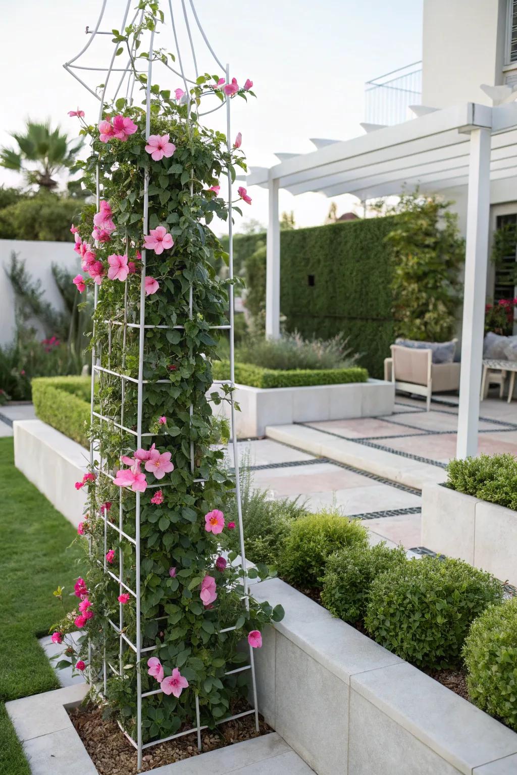 A sleek wire trellis proffers ultramodern assistance crafted for mandevilla gracing a minimalist landscape.