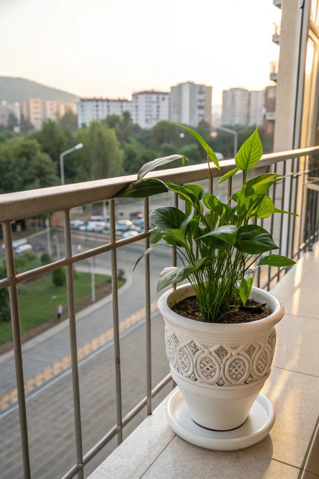 Integrate natural elements into his world with a ceramic plant pot.