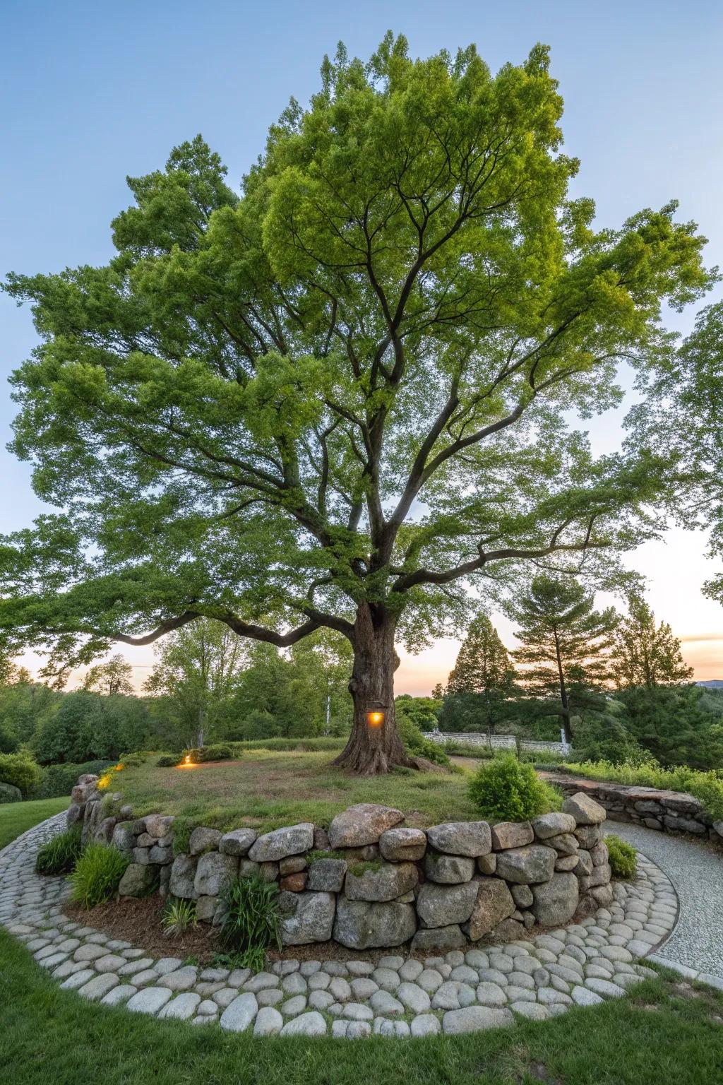Stone walls can spotlight special trees, improving garden center points.