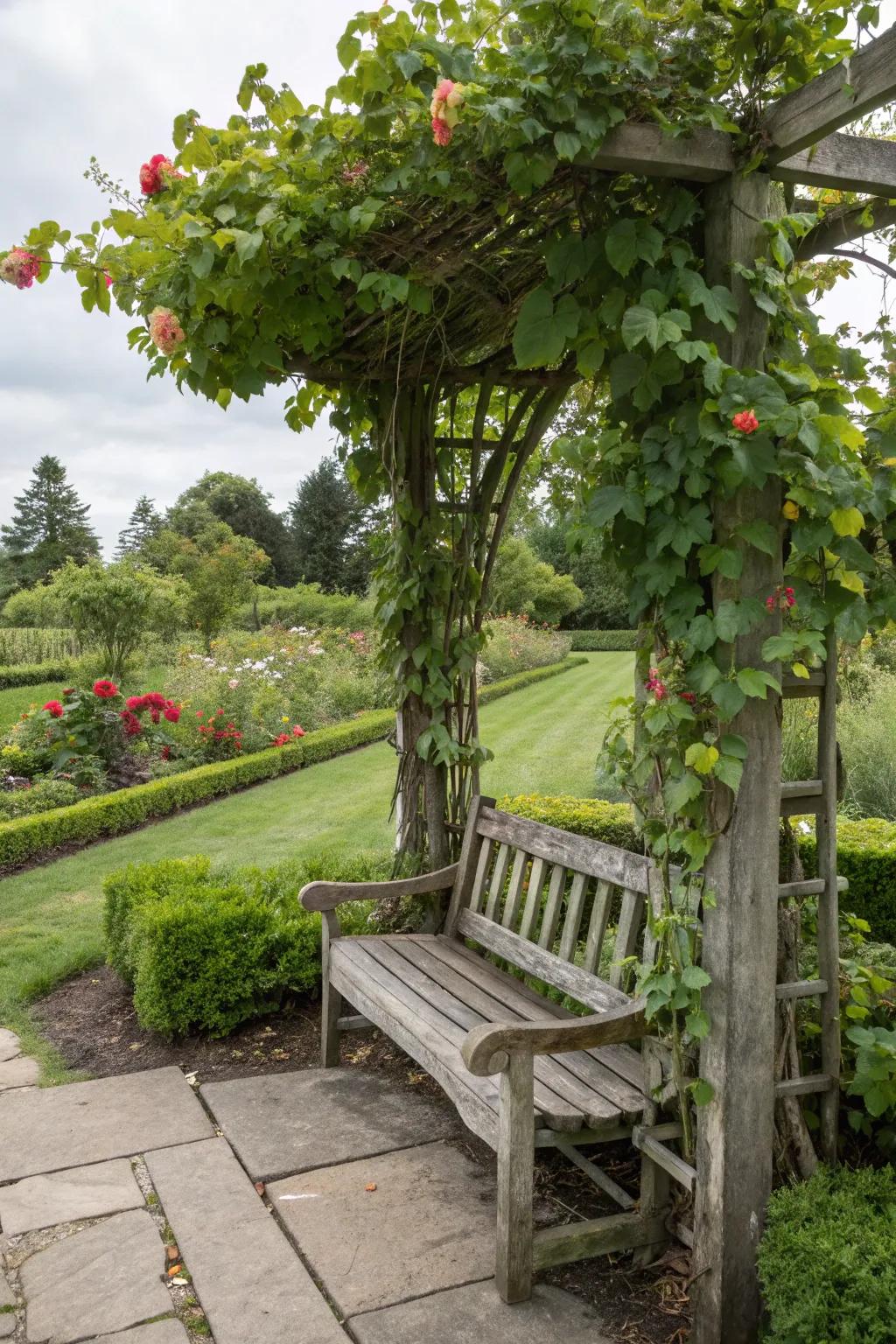 A garden seat with an arch, inviting nature to wrap around.
