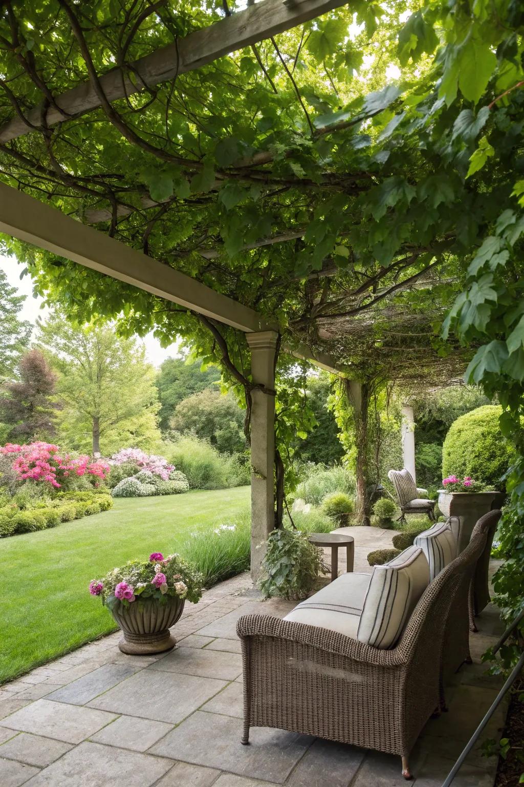 Shade structures enhancing outdoor comfort.