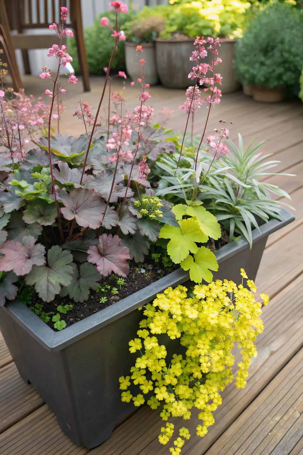 <strong><em>Kaleidoscope bells</em></strong> and creeping jenny join to make an enchanting container garden.” loading=”lazy” class=”pimg”>
	</picture><figcaption><strong><em>Kaleidoscope bells</em></strong> and creeping jenny join to make an enchanting container garden.</figcaption></figure>
<p>Achieve a flowing, cascading aesthetic by pairing <strong><em>kaleidoscope bells</em></strong> with creeping jenny in pots. This adds a lively, whimsical flair to your garden décor.</p>
<h3>A few helpful options:</h3>
<ul class=