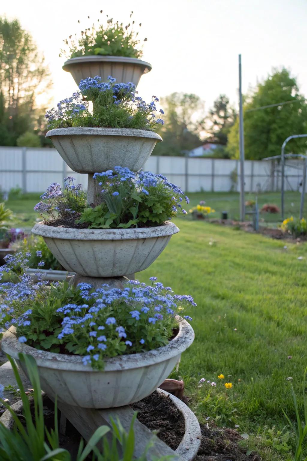 Tiered greenery holders deliver a vertical showcase for forget-me-nots.