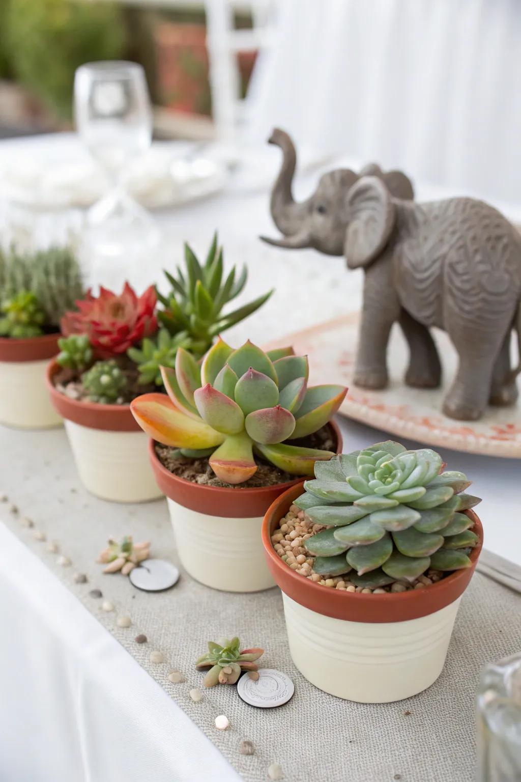 Trendy elephant and succulent showpiece.