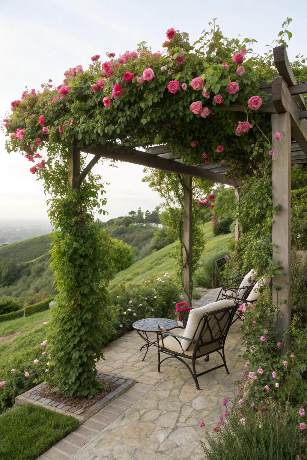 Pergolas craft cool, inviting spaces.