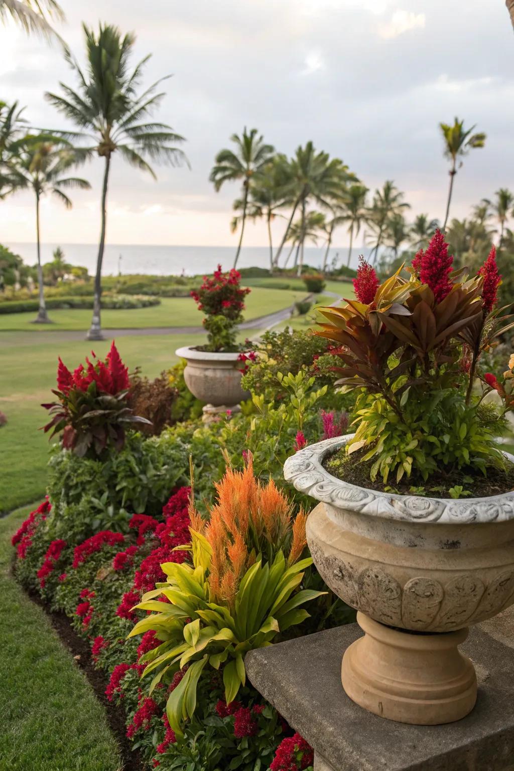 With cock's comb and other exotic flora, create a tropical escape.