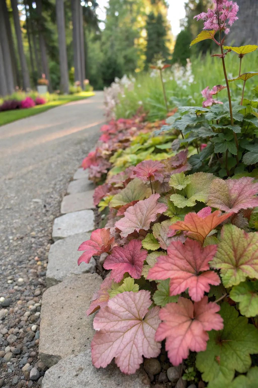 <strong><em>Kaleidoscope bells</em></strong> used as a vibrant border, illuminating a garden pathway.” loading=”lazy” class=”pimg”>
	</picture><figcaption><strong><em>Kaleidoscope bells</em></strong> used as a vibrant border, illuminating a garden pathway.</figcaption></figure>
<p>Utilize <strong><em>kaleidoscope bells</em></strong> as borders along pathways to guide with color. Their neat growth pattern makes them perfectly suited for this purpose.</p>
<h3>A few suggestions:</h3>
<ul class=