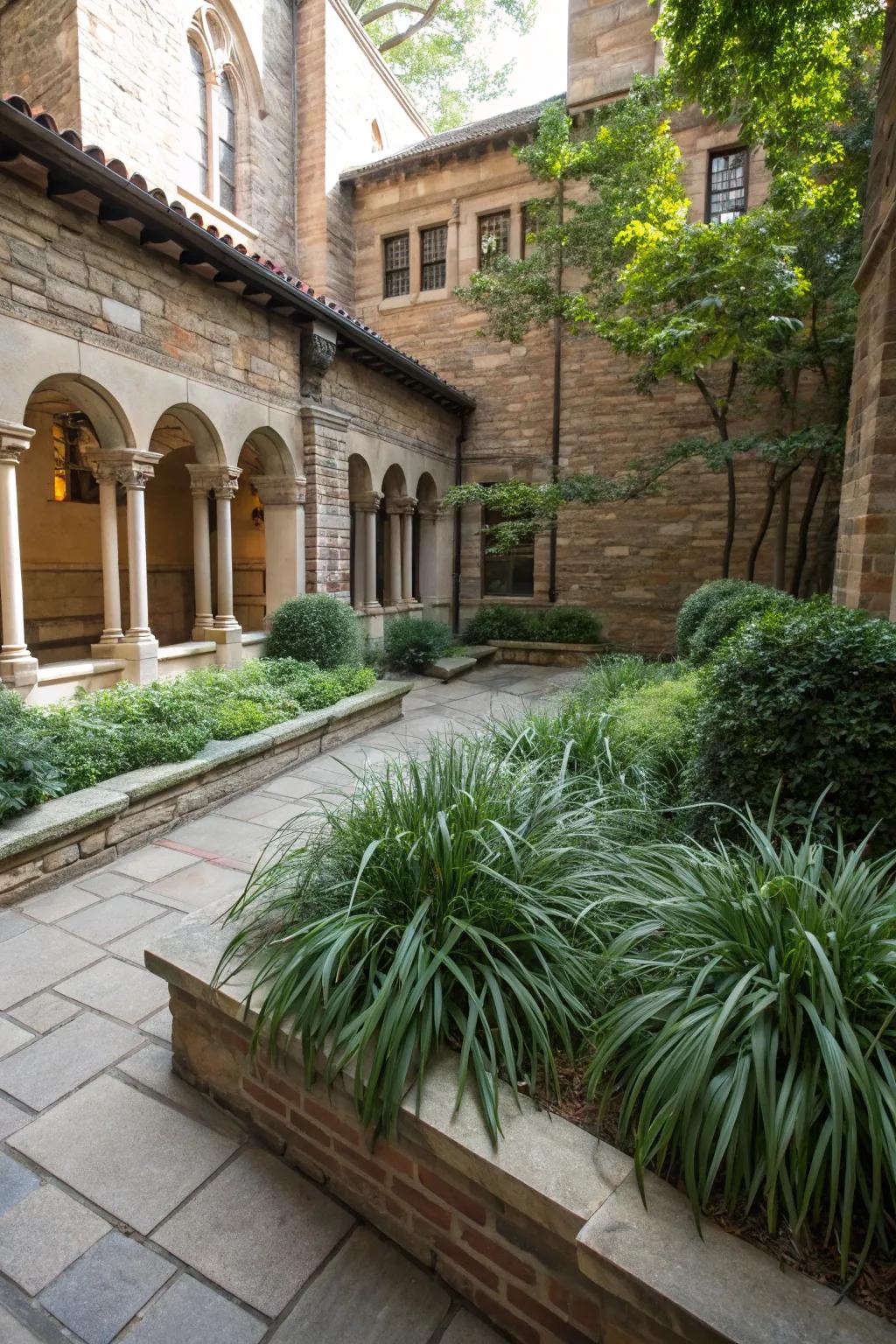 Courtyard corners enlivened by the dynamic greenery of ribbon grass.