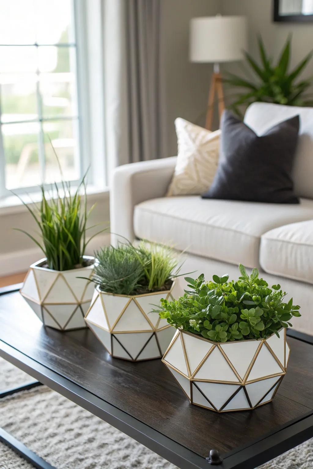 Geometric planters add a contemporary edge to plant displays.