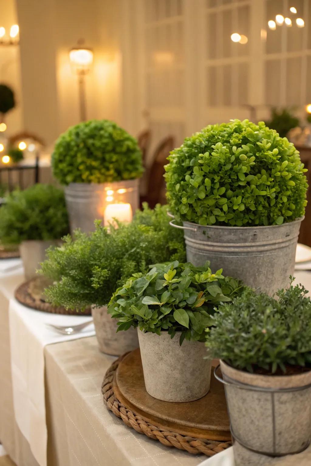 Greenery adding a fresh and natural touch to the celebration.