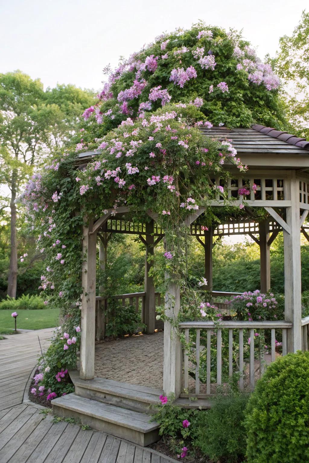 A pavilion trellis transforms into a romantic getaway with thriving clematis.