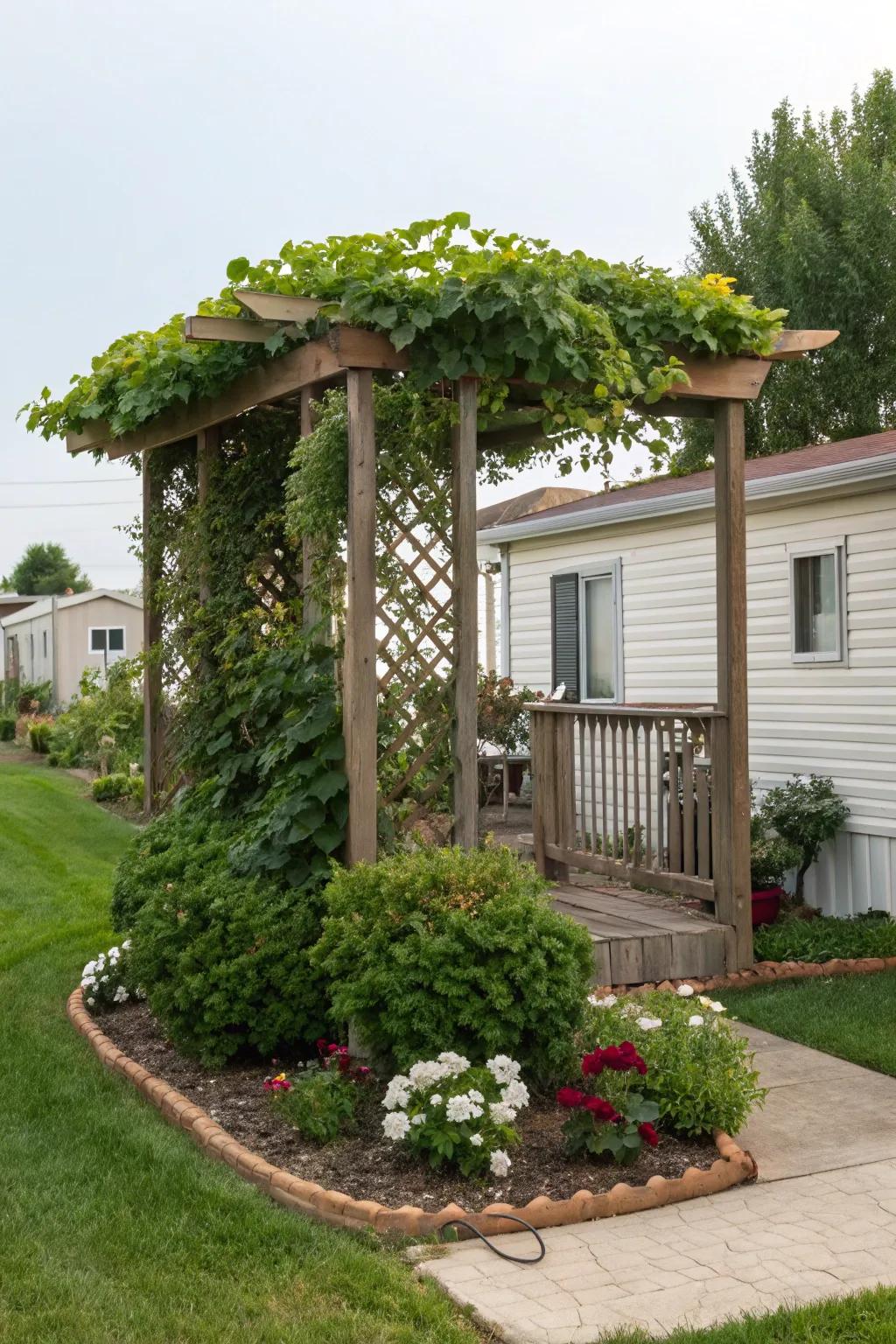 A vine-covered pergola creating a shaded sanctuary in a mobile home garden.