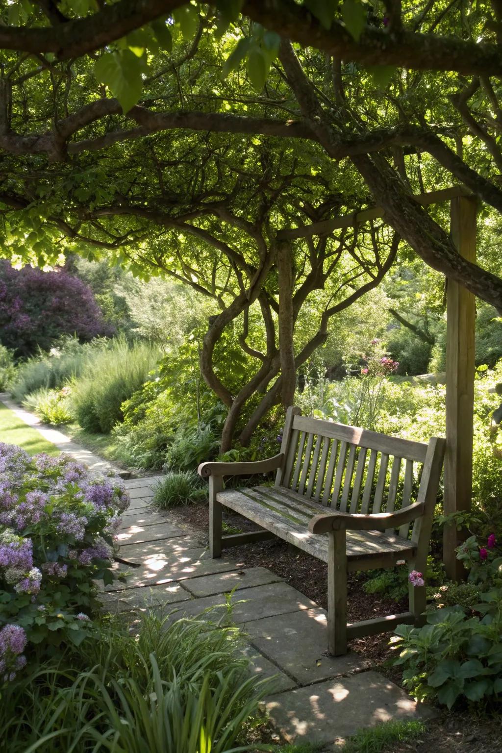 A creative seat with tree branches as natural supports.