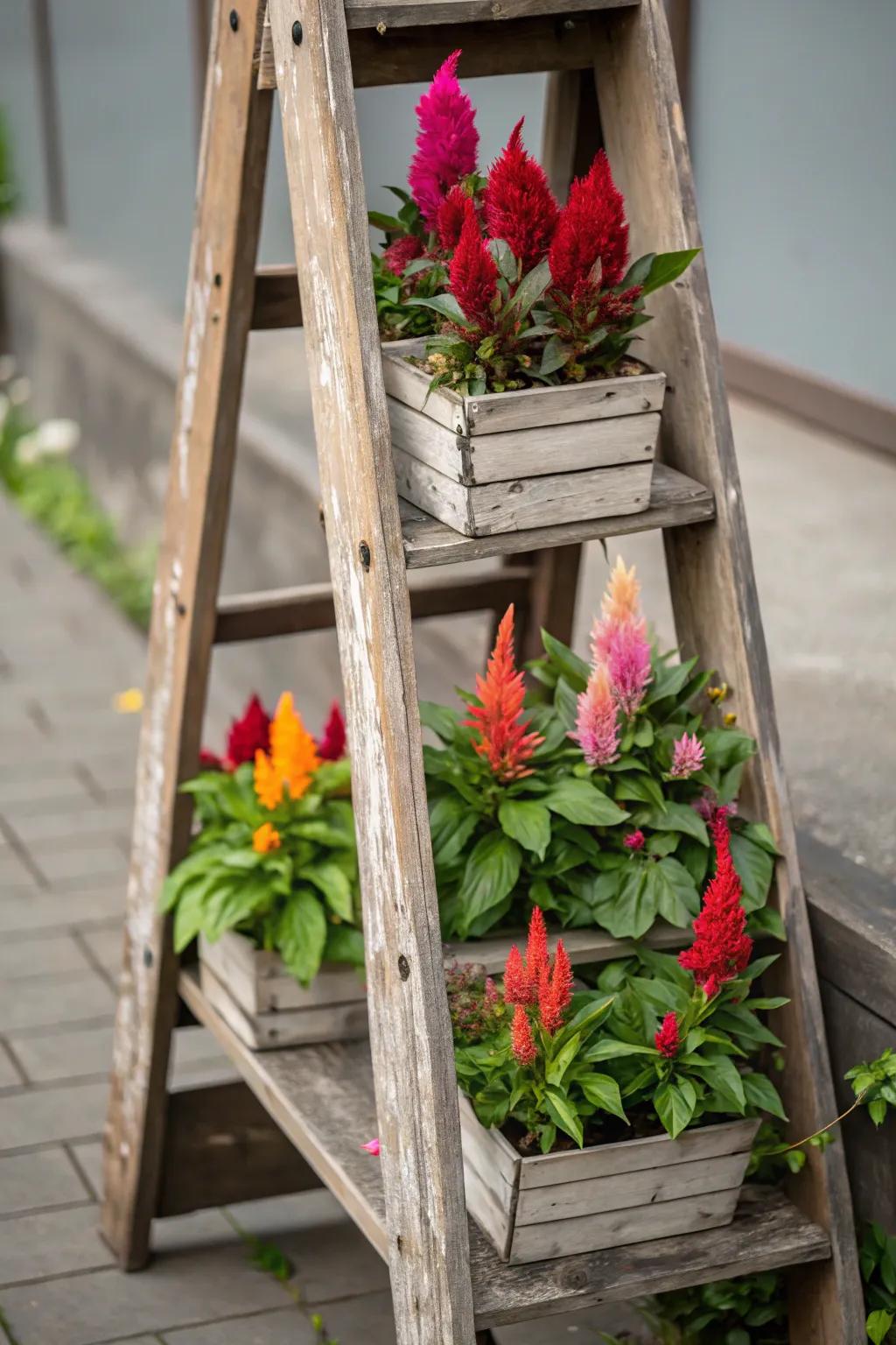 A botanical wall planter makes the most of space while adding style.
