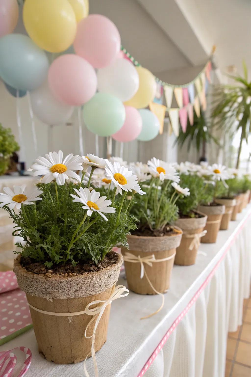 Choose eco-friendly daisy decorations.