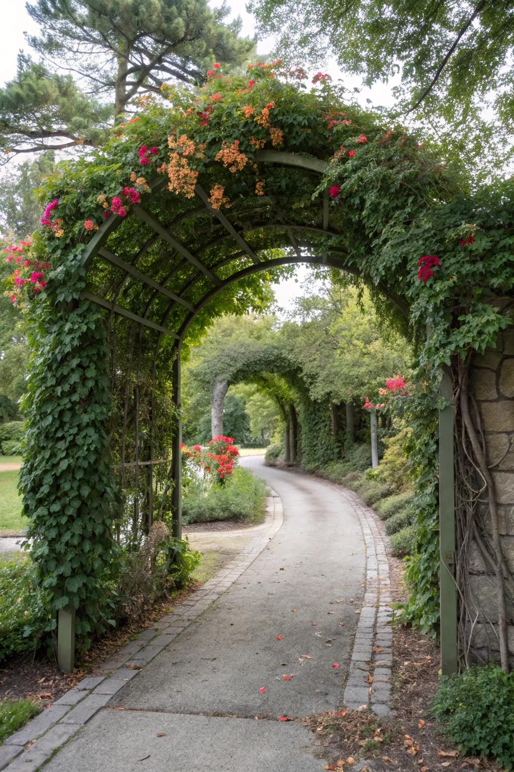 Climbing plants on arches fashion a romantic, grand entrance.