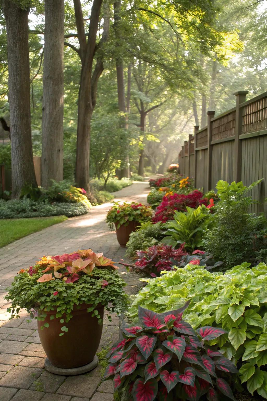 Potted foliage offers flexibility and splashes of color.