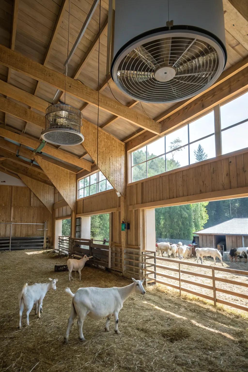 Innovative ventilation keeps the air fresh in this goat barn.