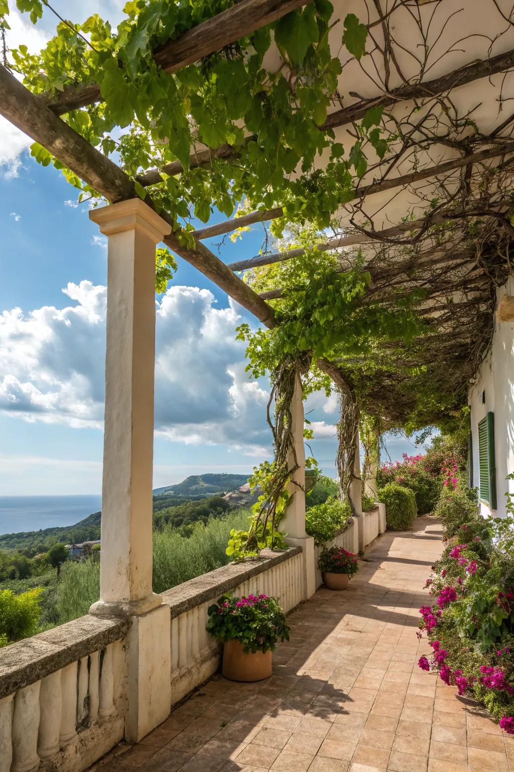 Trellised climbers offer natural shade and vibrant beauty.