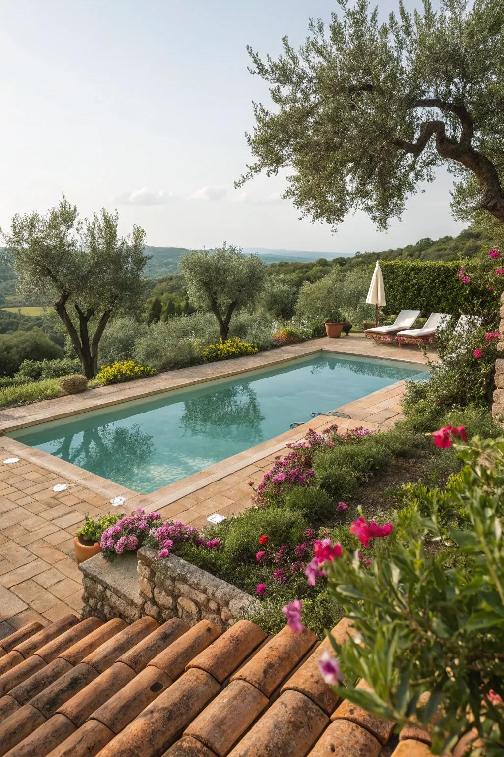 A pool pond showing a Mediterranean-inspired design.