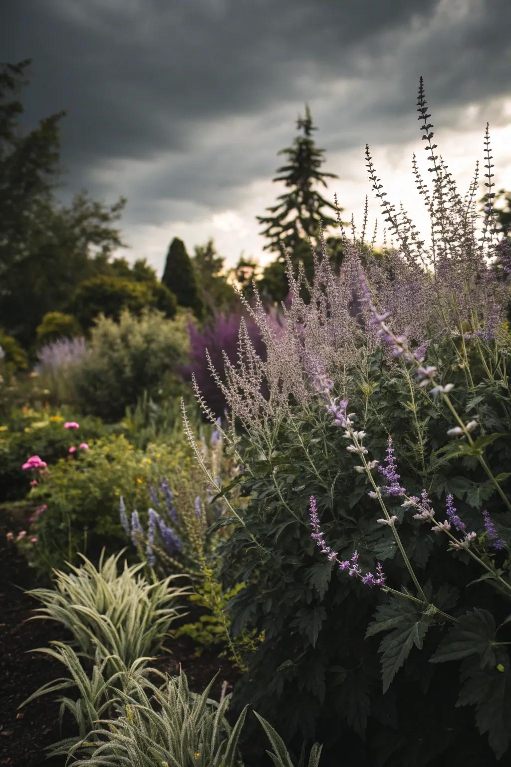 A moody garden featuring azure blooms and dark foliage.