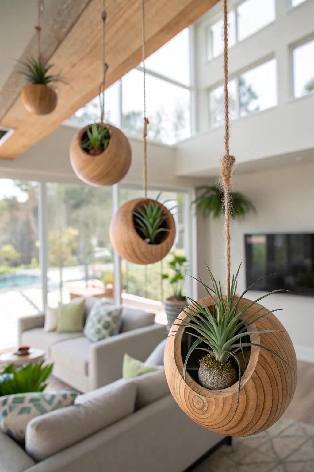 Wooden spheres append vibrant gesture to air plant exhibits.