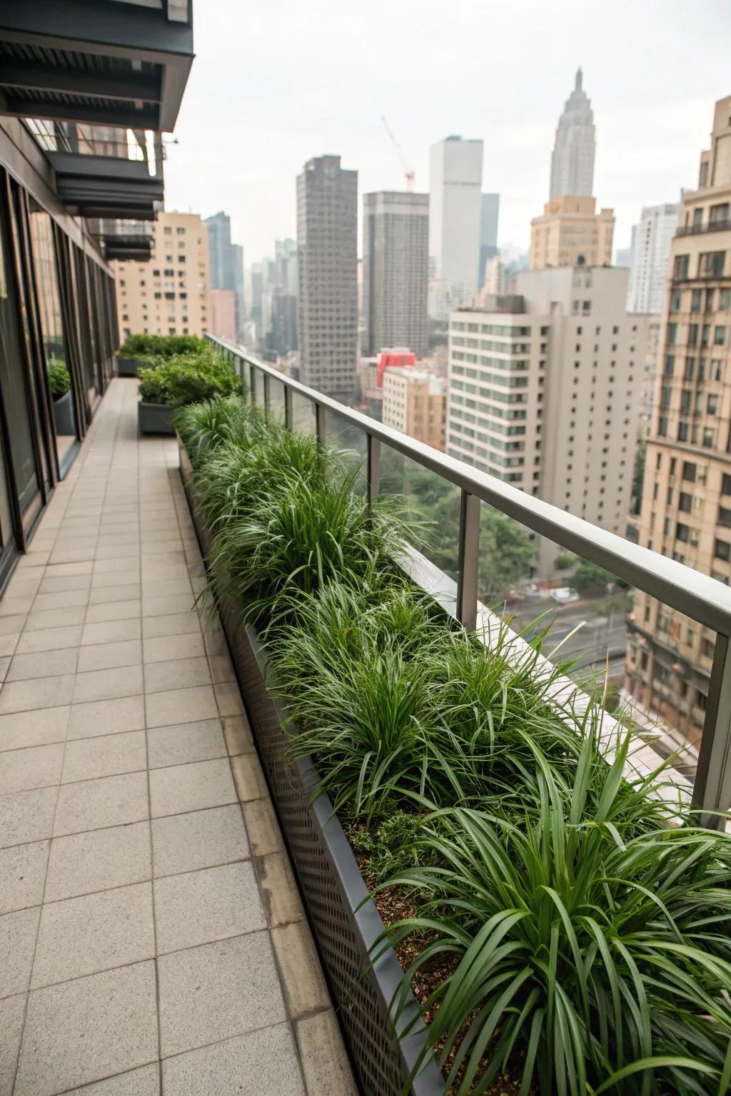 An urban balcony evolved into a lush retreat with ribbon grass.