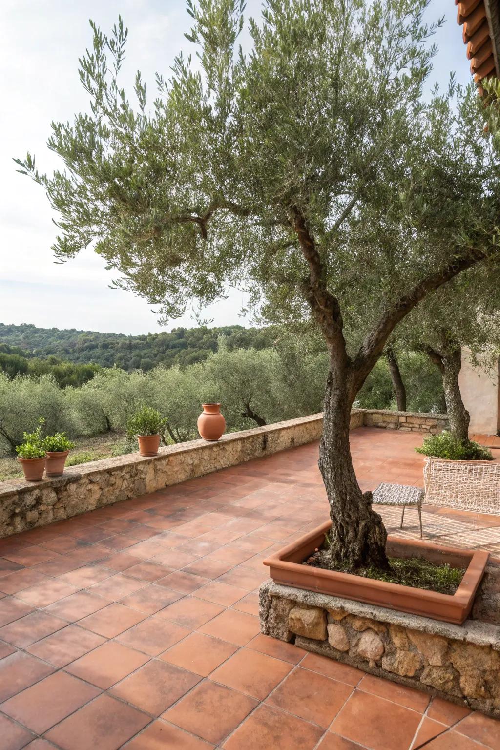 Terracotta tiles bring warm, Mediterranean vibes.