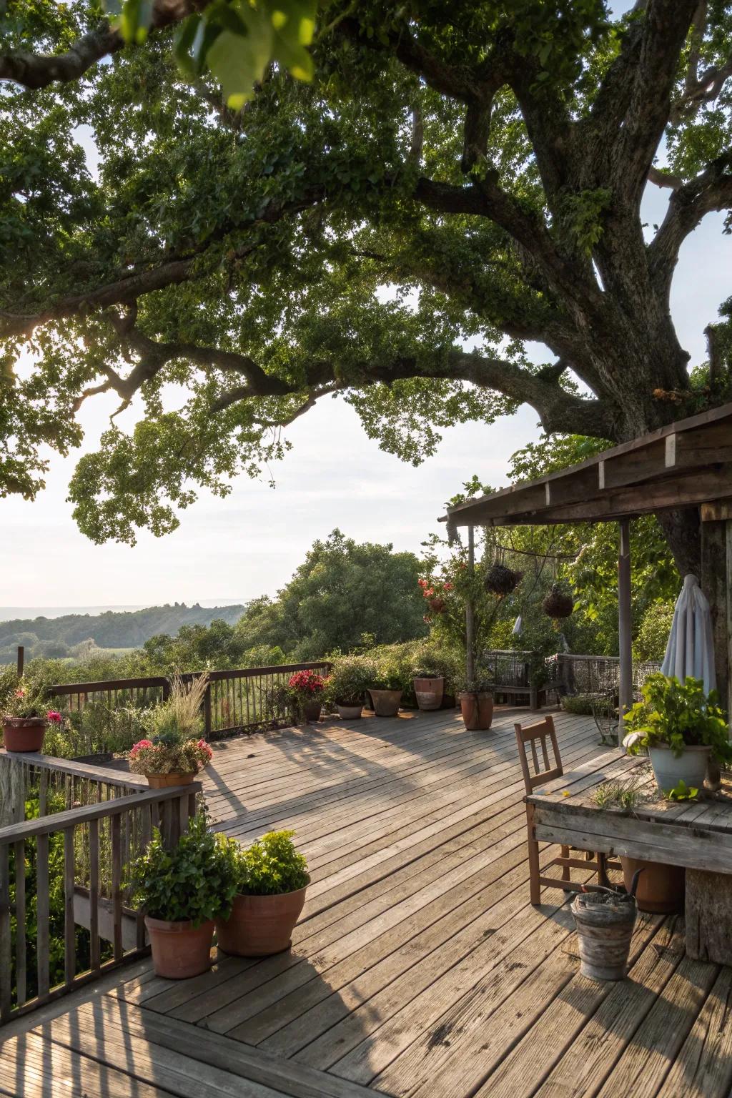 A tree covering provides shade and a natural backdrop to this deck.