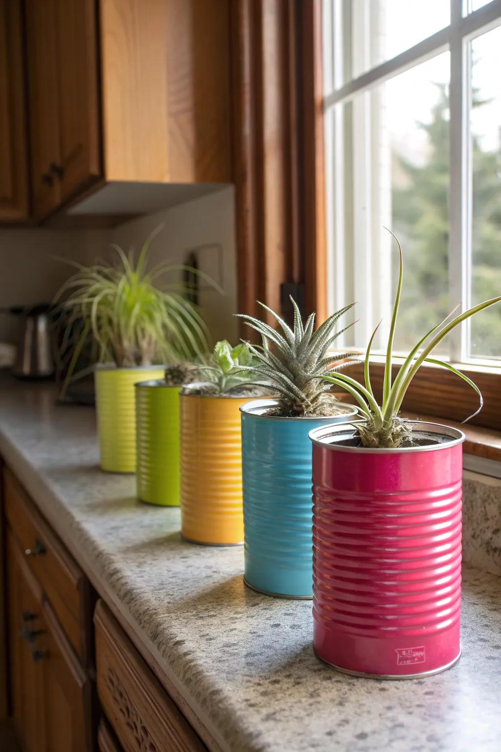 Reclaimed metal cans offer a budget-mindful and earth-conscious display.