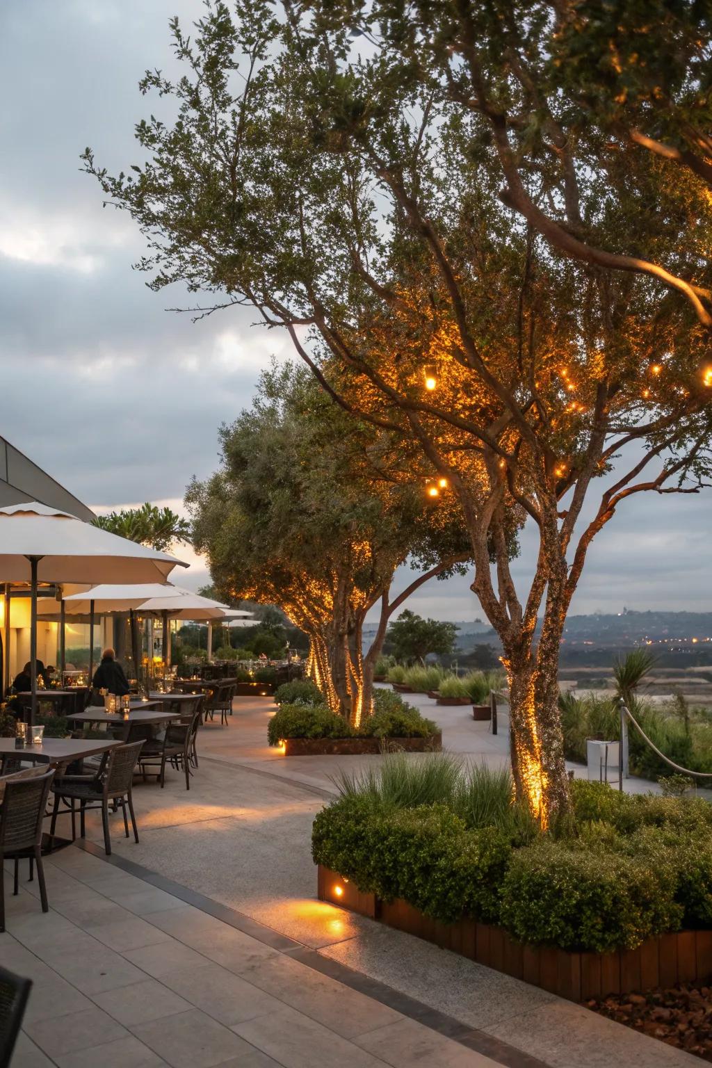 Canopy accentuation augments magnitude and theatricality to outdoor vistas.