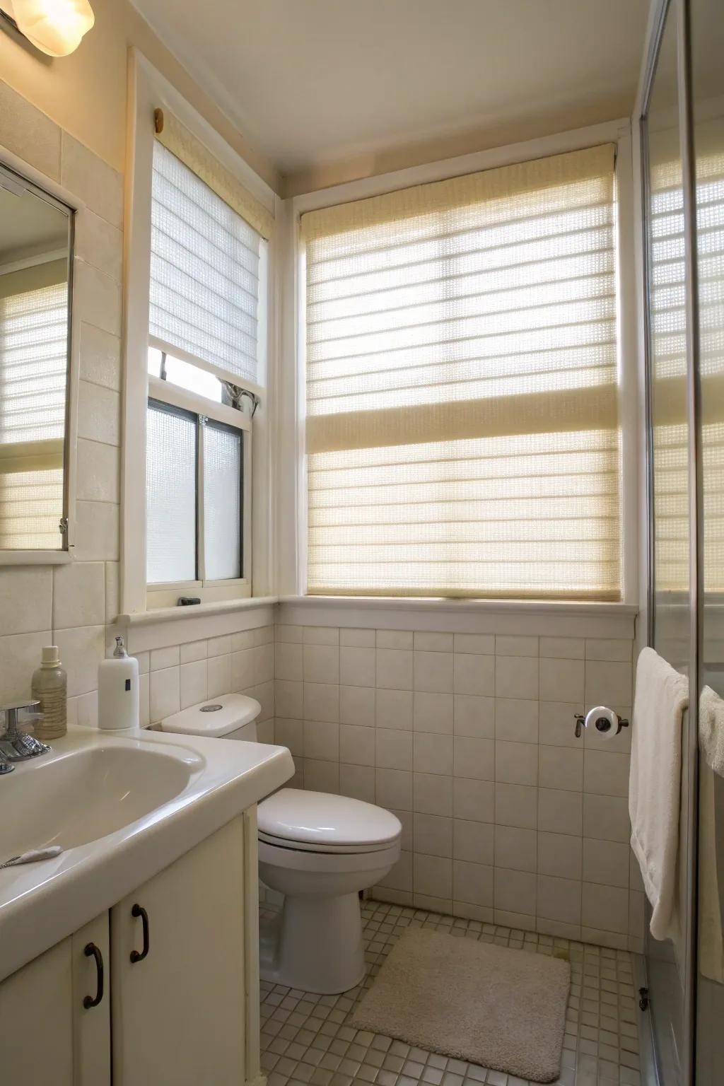 See-through shades let light in while keeping your privacy.
