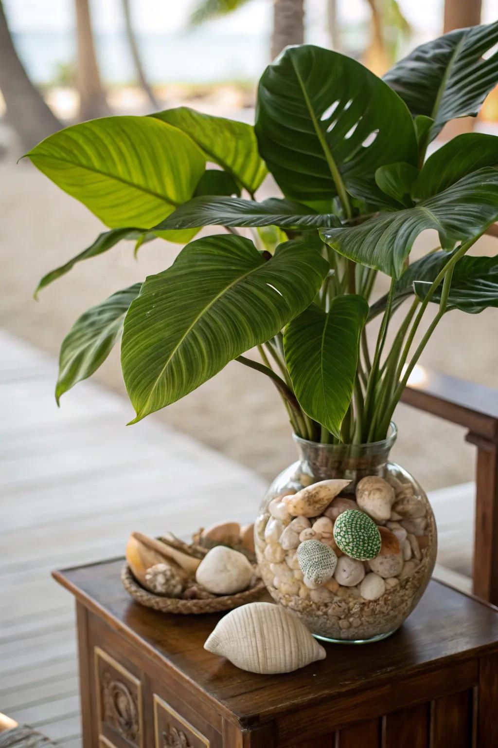 Generate a lavish, beachy feel using exotic foliage and shells.